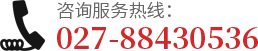武漢超聲波脫硫機(jī)